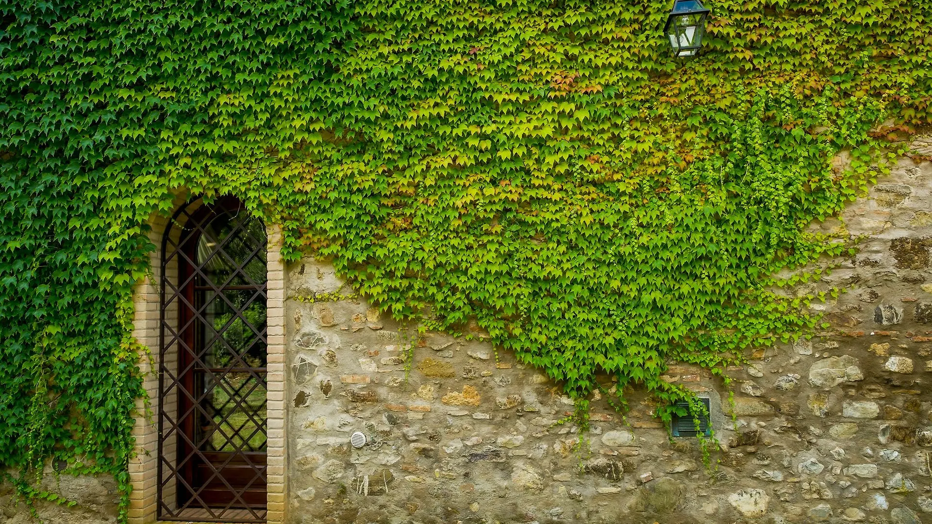 Ginestriccio Apartment Bibbona